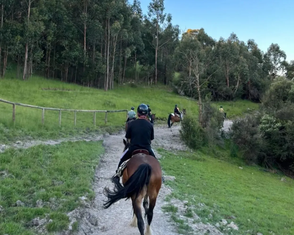 Chum Creek Horseriding