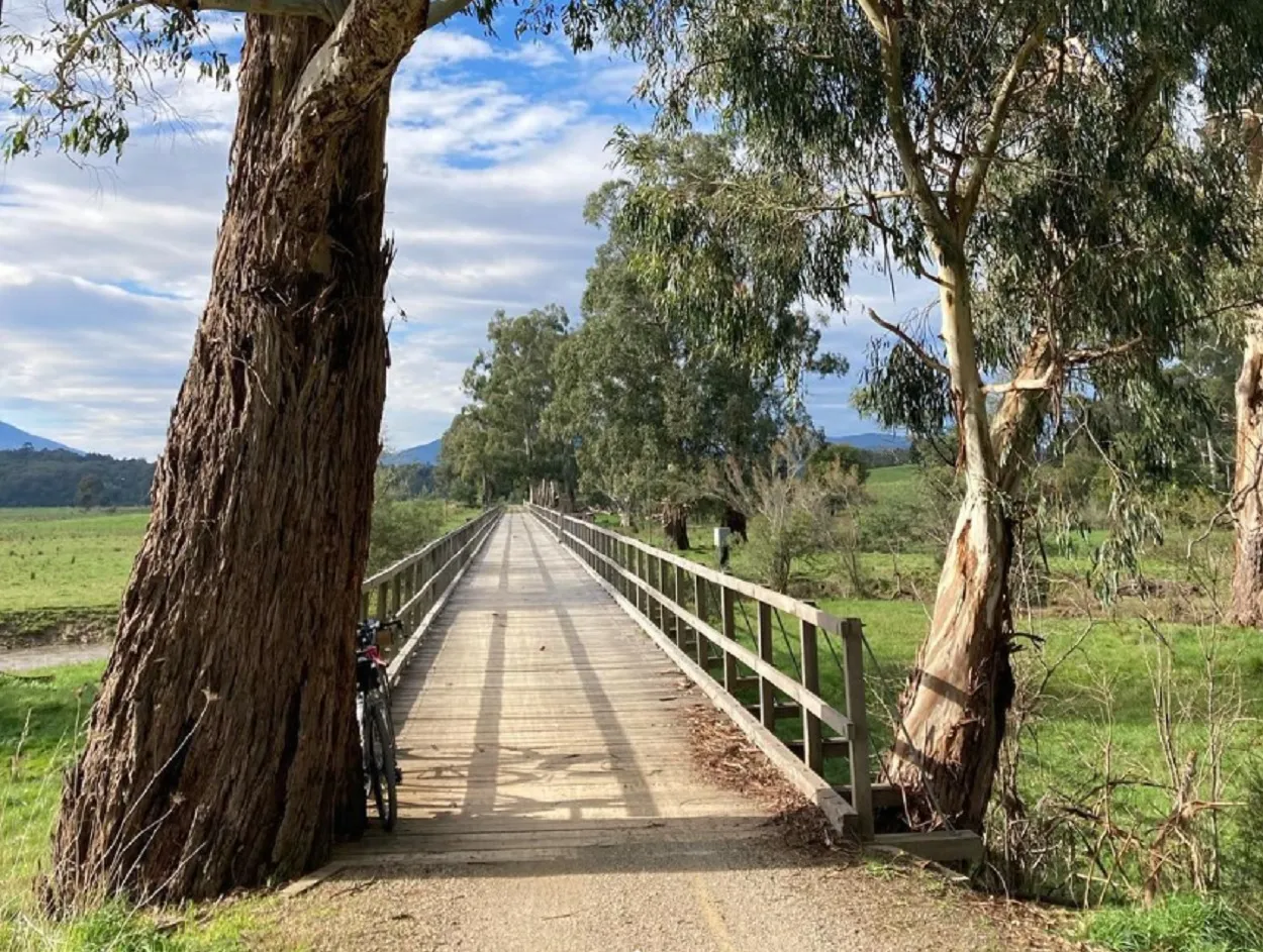 The Lilydale to Warburton railway