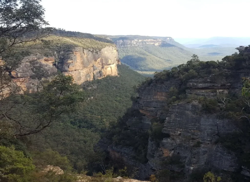 Blue Mountains