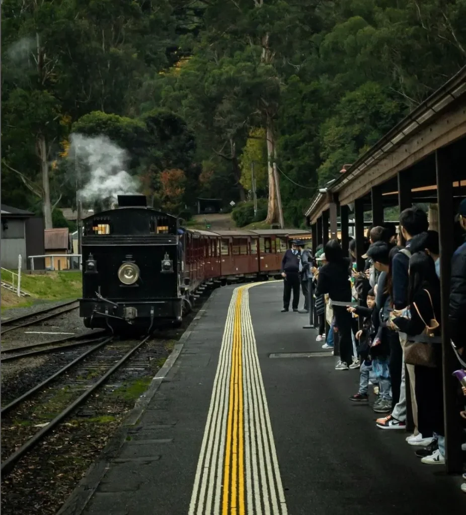 The Historical Legacy of Puffing Billy