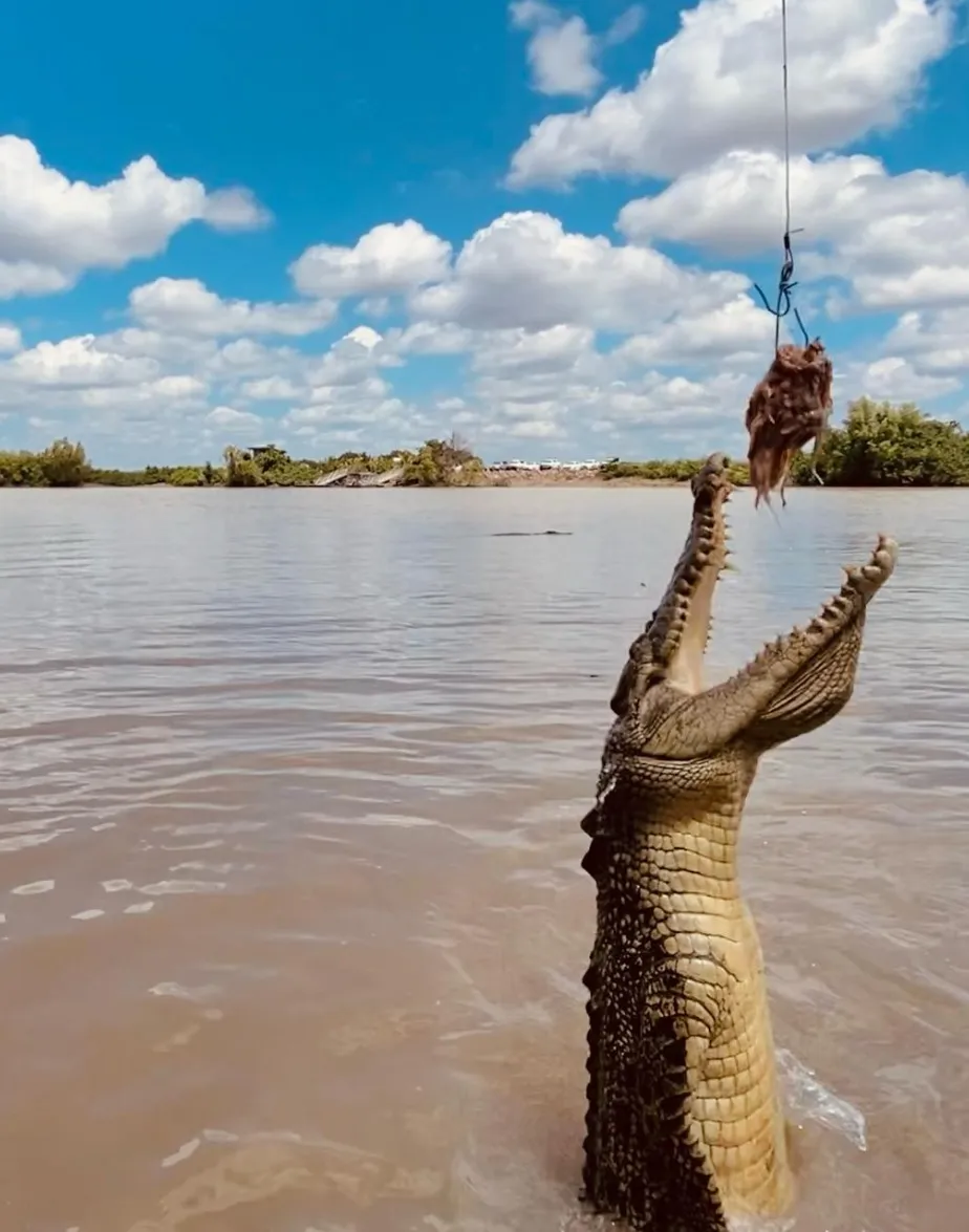 East Alligator River
