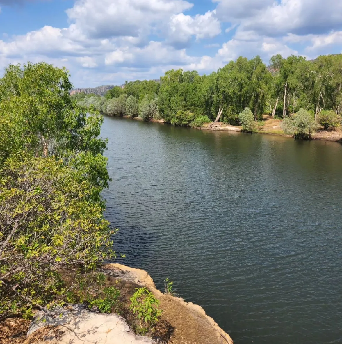 Guluyambi Cultural Cruise