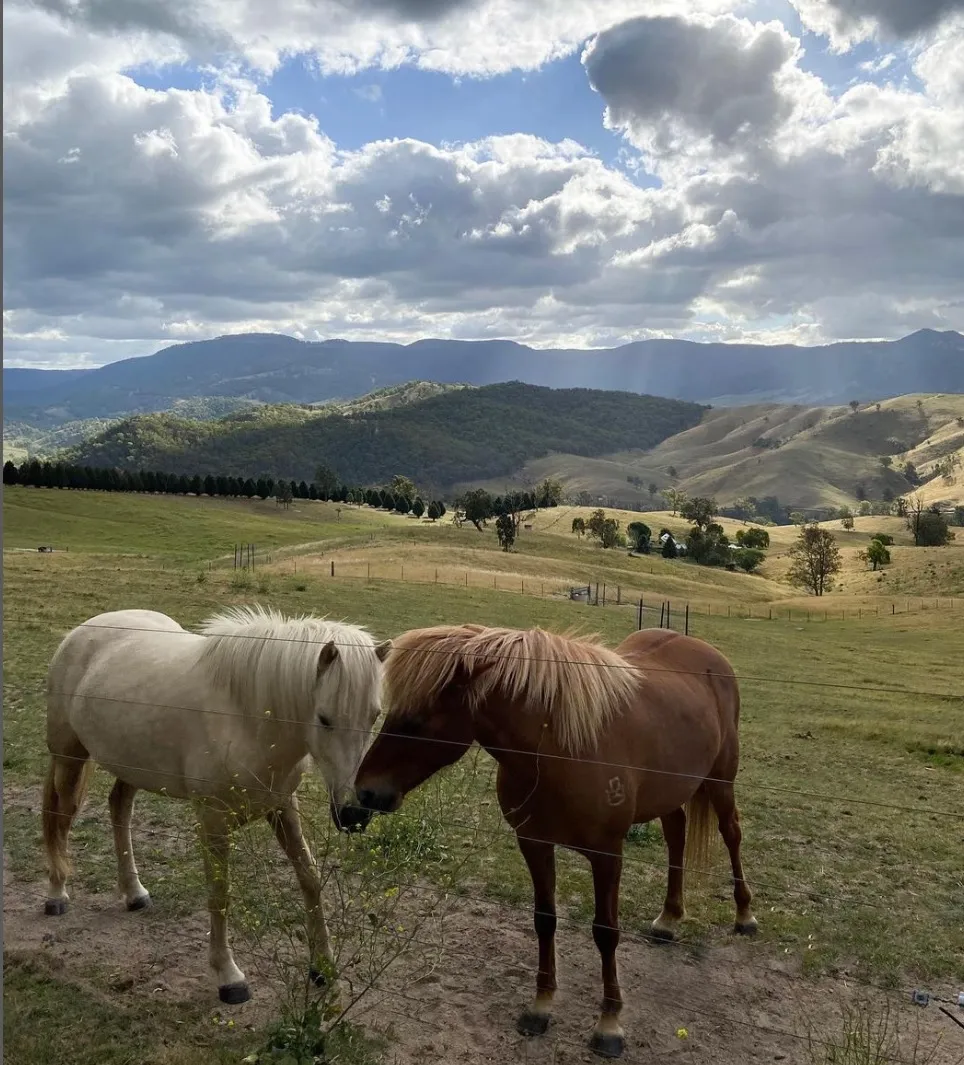 Megalong Valley