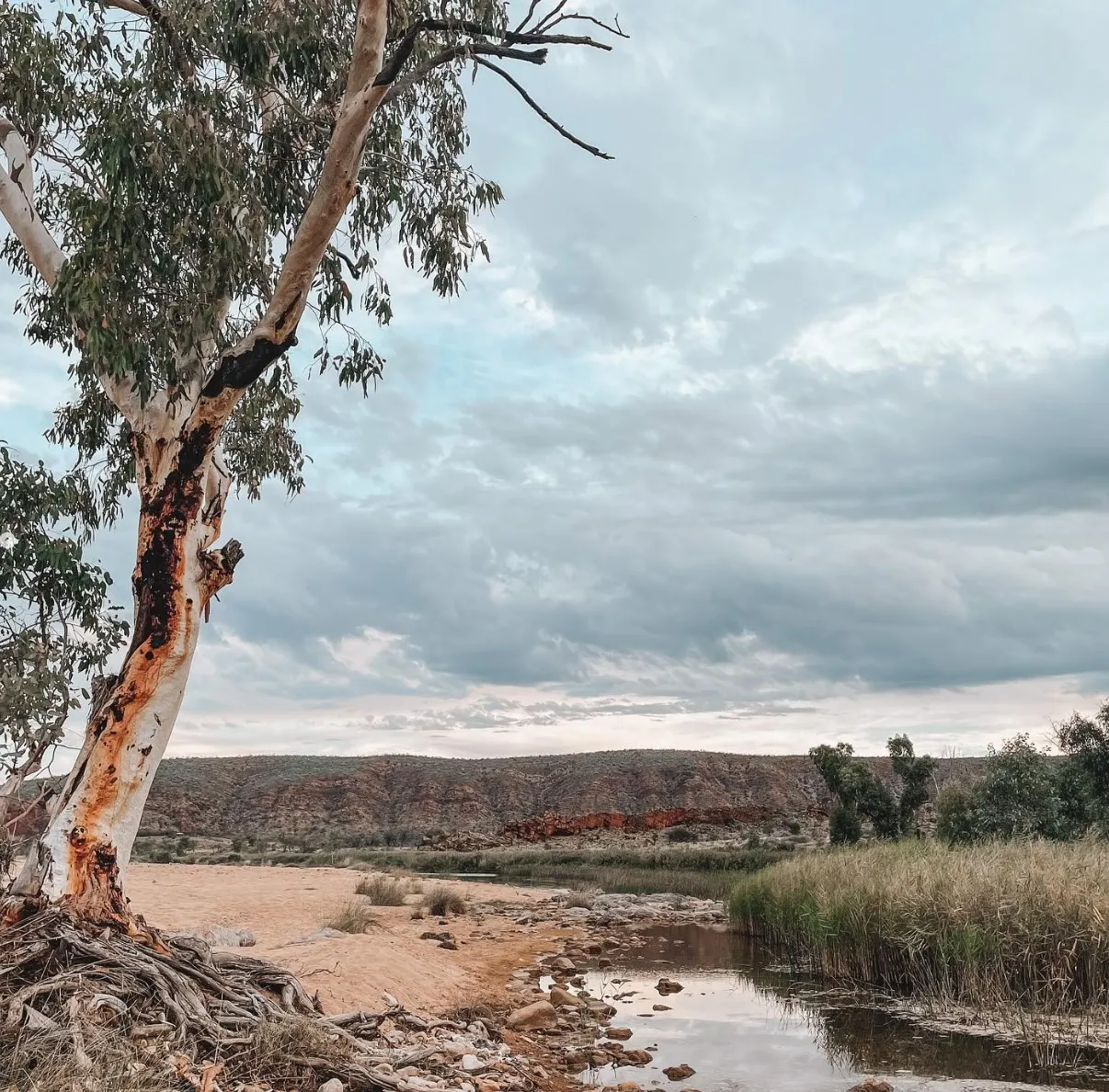 West MacDonnell Ranges