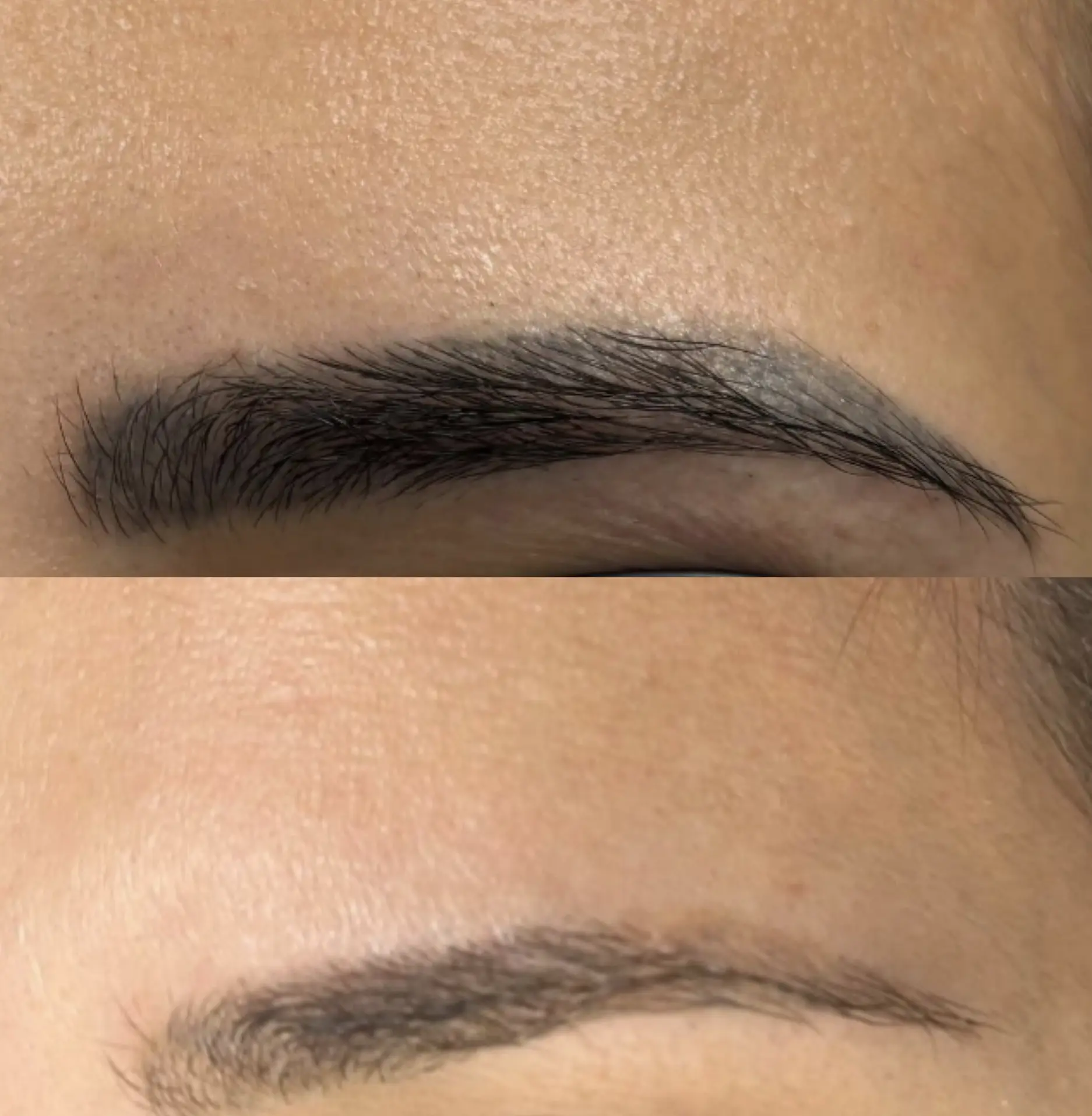 combo brows course