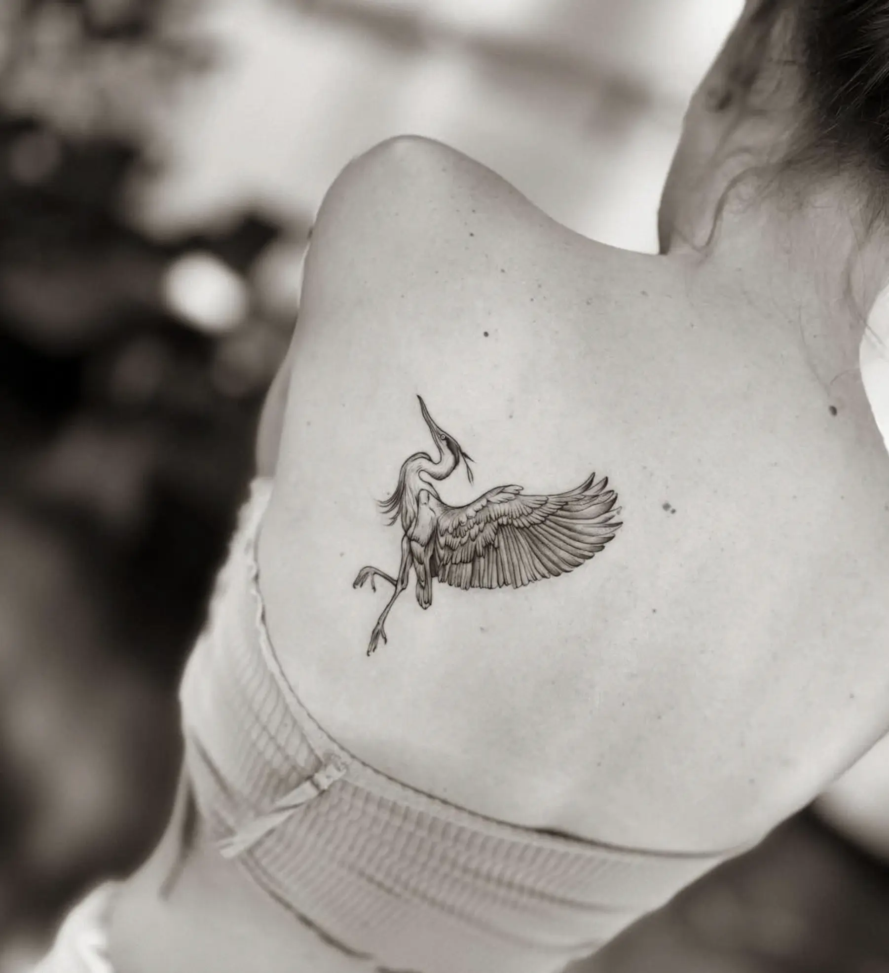 fine line tattoo training Melbourne