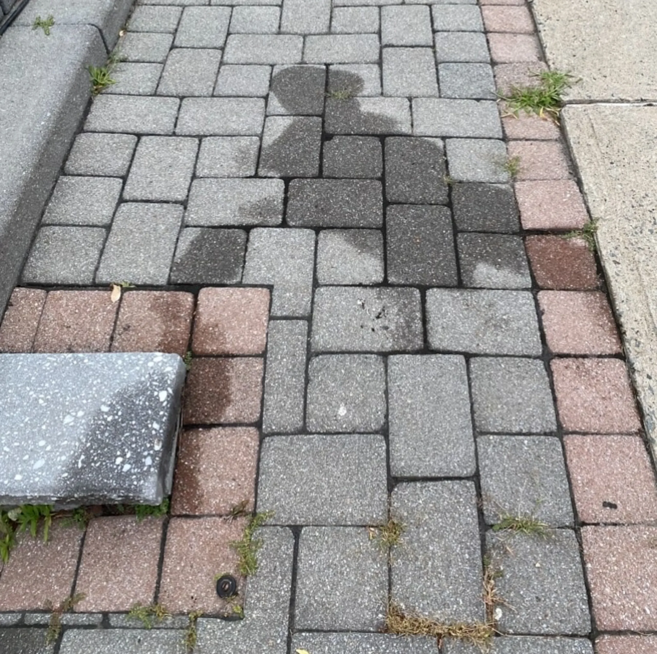 Suction-hose cleaning