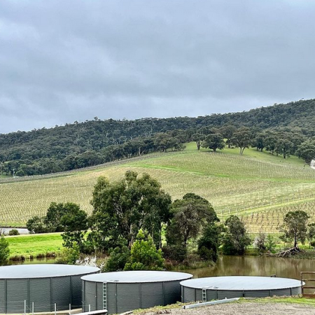 things to do yarra valley