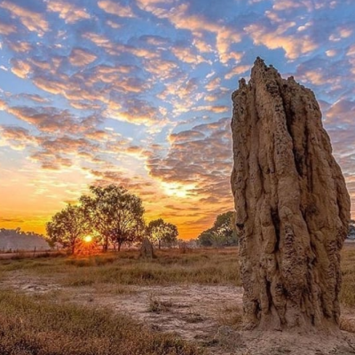 things to do in northern territory