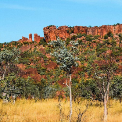 things to do in the nt