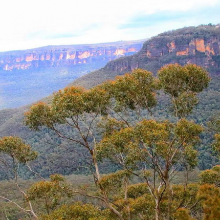 blue mountains day trip