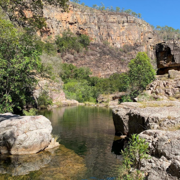 kakadu tours from darwin