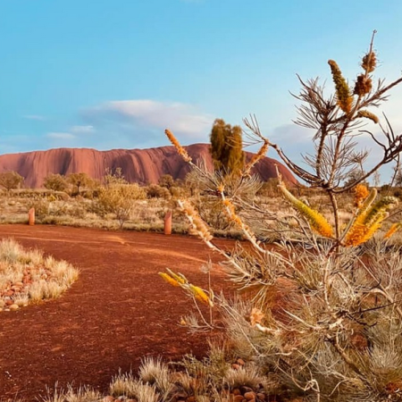 things to do uluru