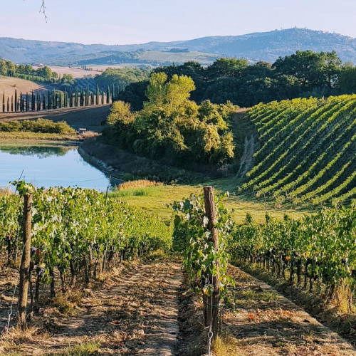hunter valley wine tasting tours