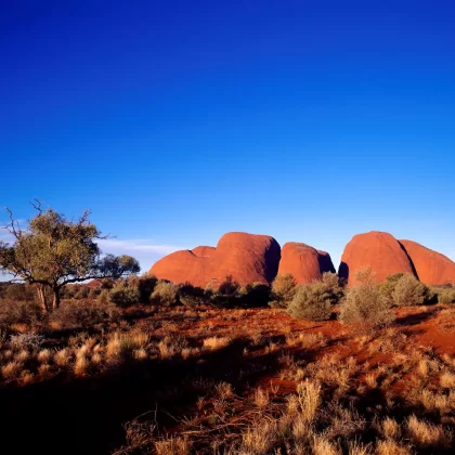best tours uluru