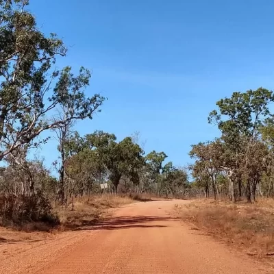 best tours in darwin