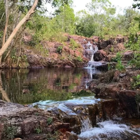 darwin litchfield tour