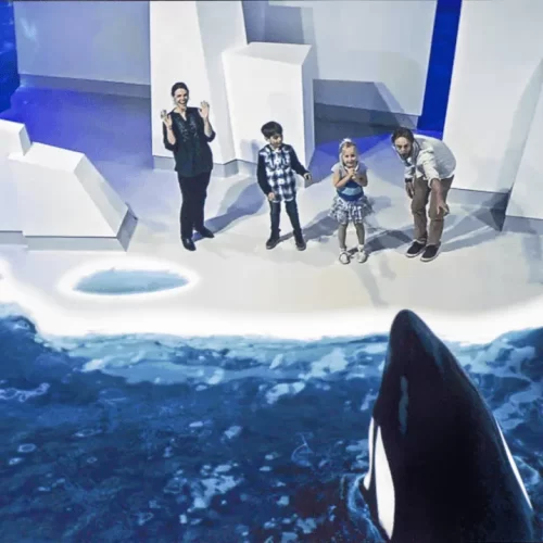 day trip to phillip island melbourne