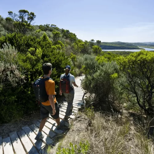 great ocean road melbourne tour