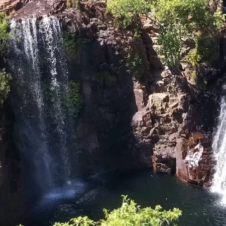 litchfield national park tours