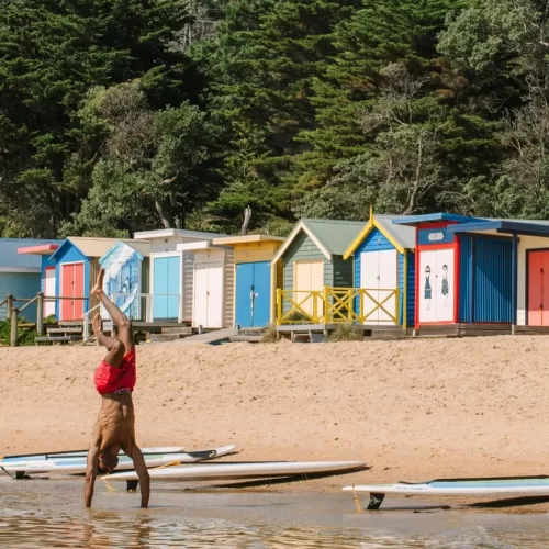 mornington peninsula wineries tours