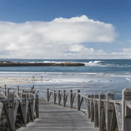 one day great ocean road tour