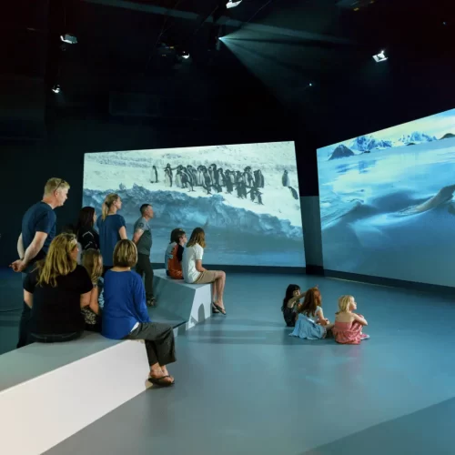 phillip island day trip