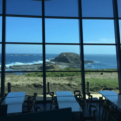 phillip island penguins tours from melbourne