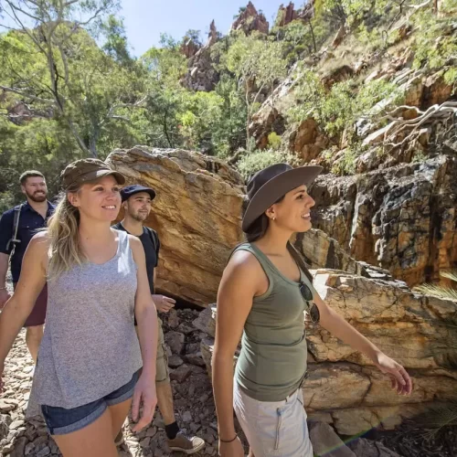alice springs day trips
