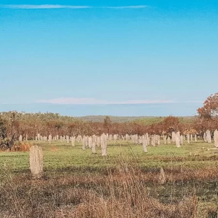 tour litchfield national park