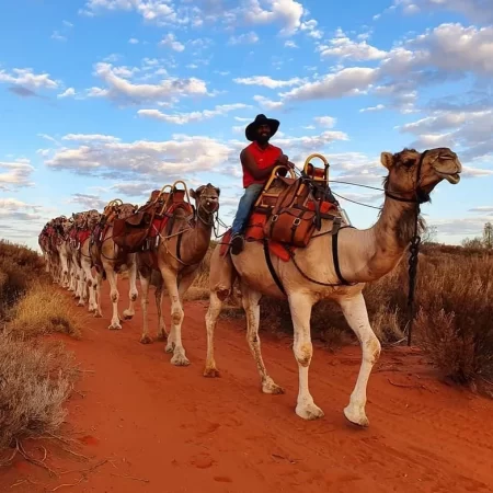 tours from alice springs to uluru
