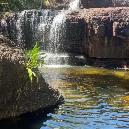 tours of litchfield national park