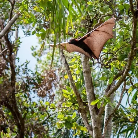 tours to litchfield national park