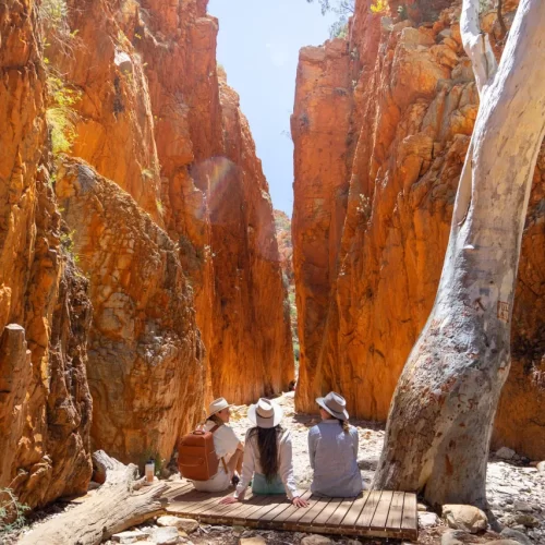 day tours alice springs