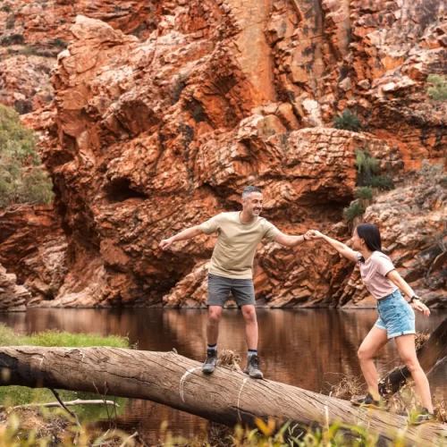 alice springs tours