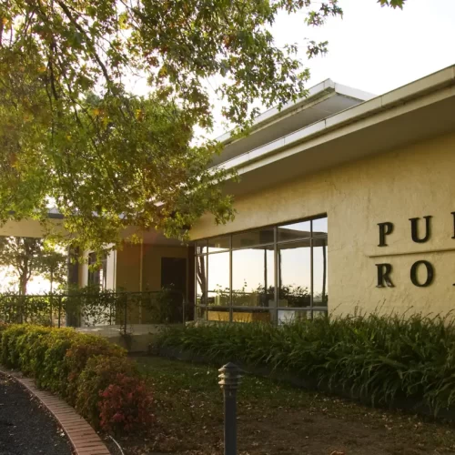 yarra valley wine tasting tours