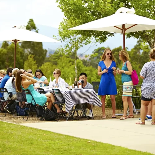 yarra valley wine tours from melbourne